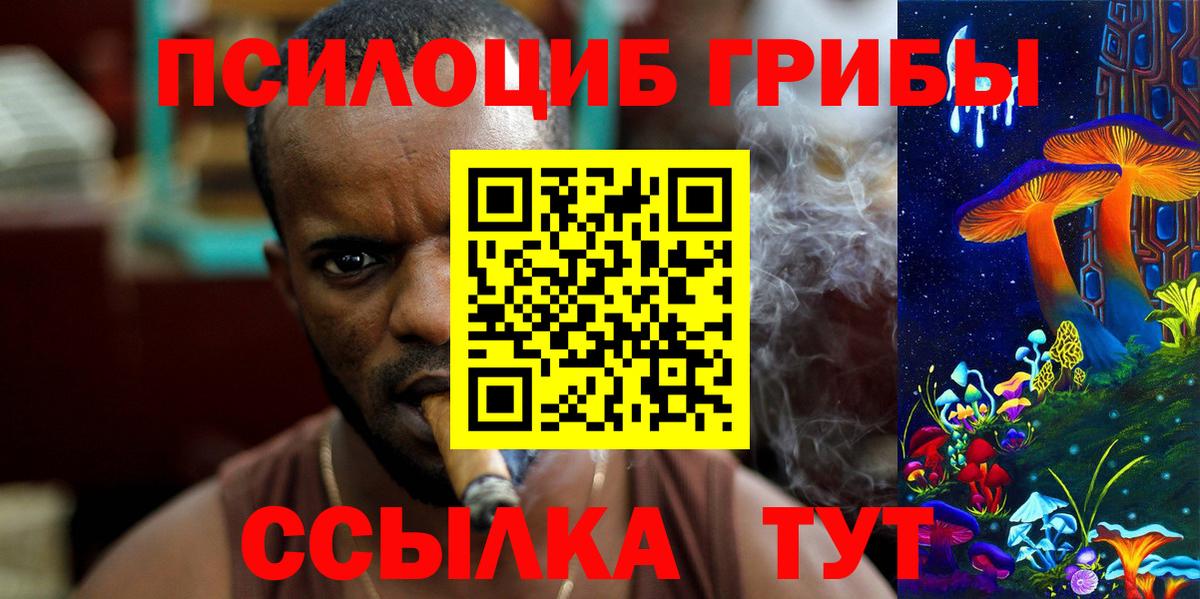 Псилоцибиновые грибы Cubensis Великий Новгород